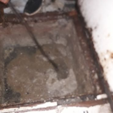 Destapacion de tapa cloacal
